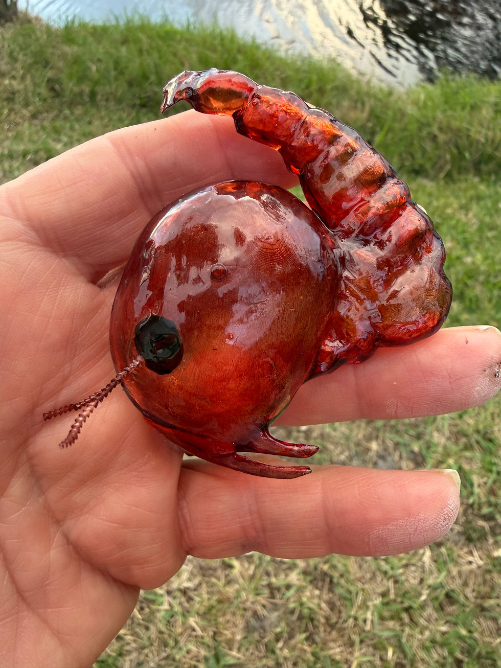 Thumbnail: Mosquito Pupa