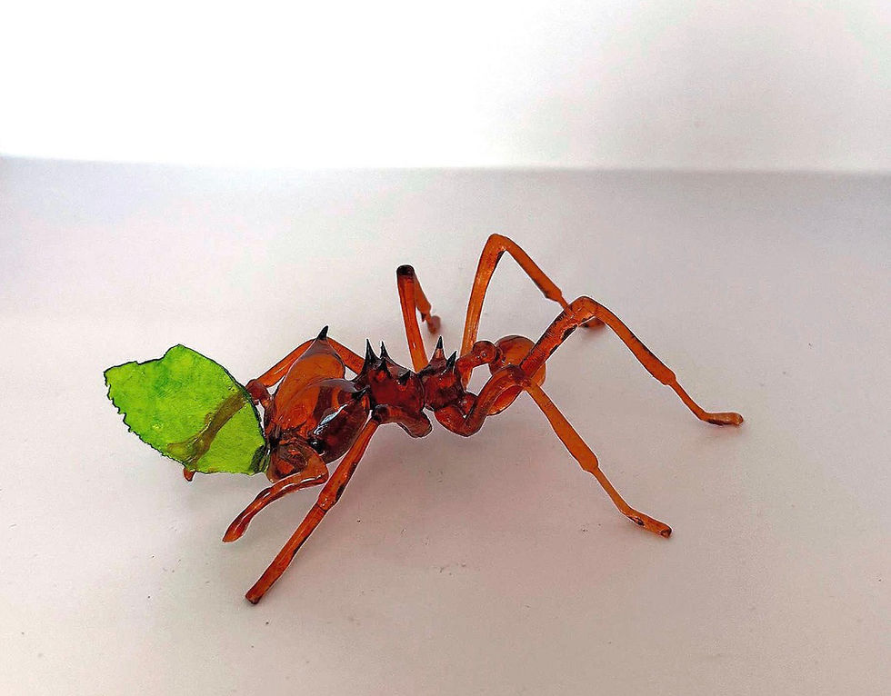Thumbnail: Leaf  Cutter Ant with Leaf