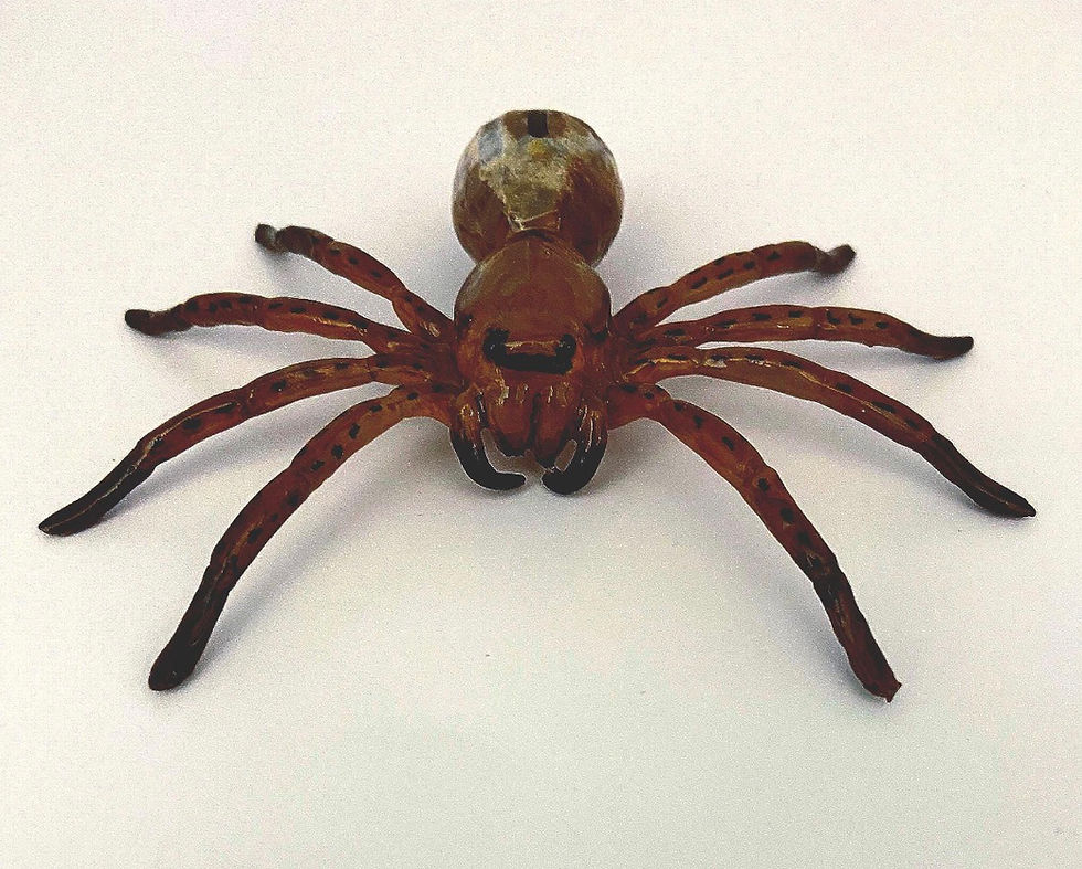 Thumbnail: Wolf Spider