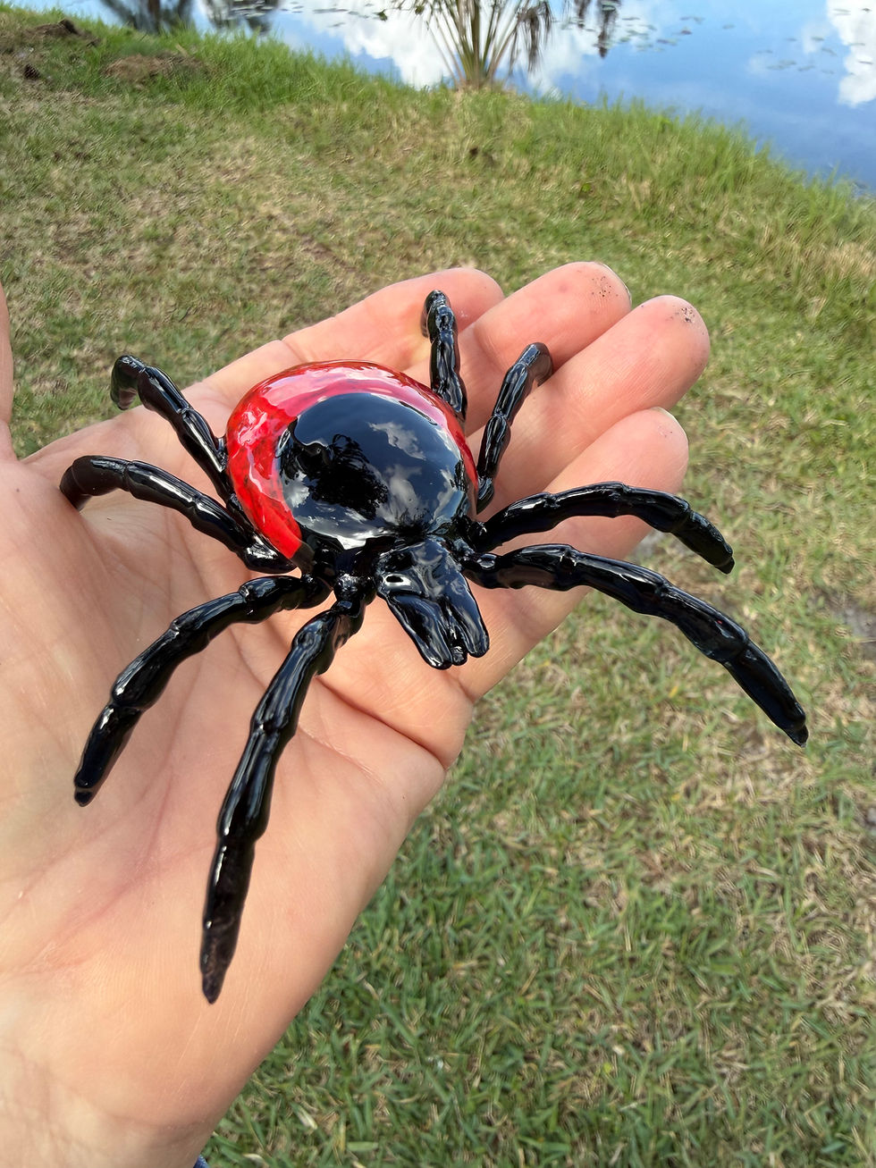 Thumbnail: Black Legged Tick