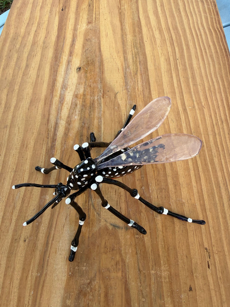 Thumbnail: Extra Large Aedes Mosquito