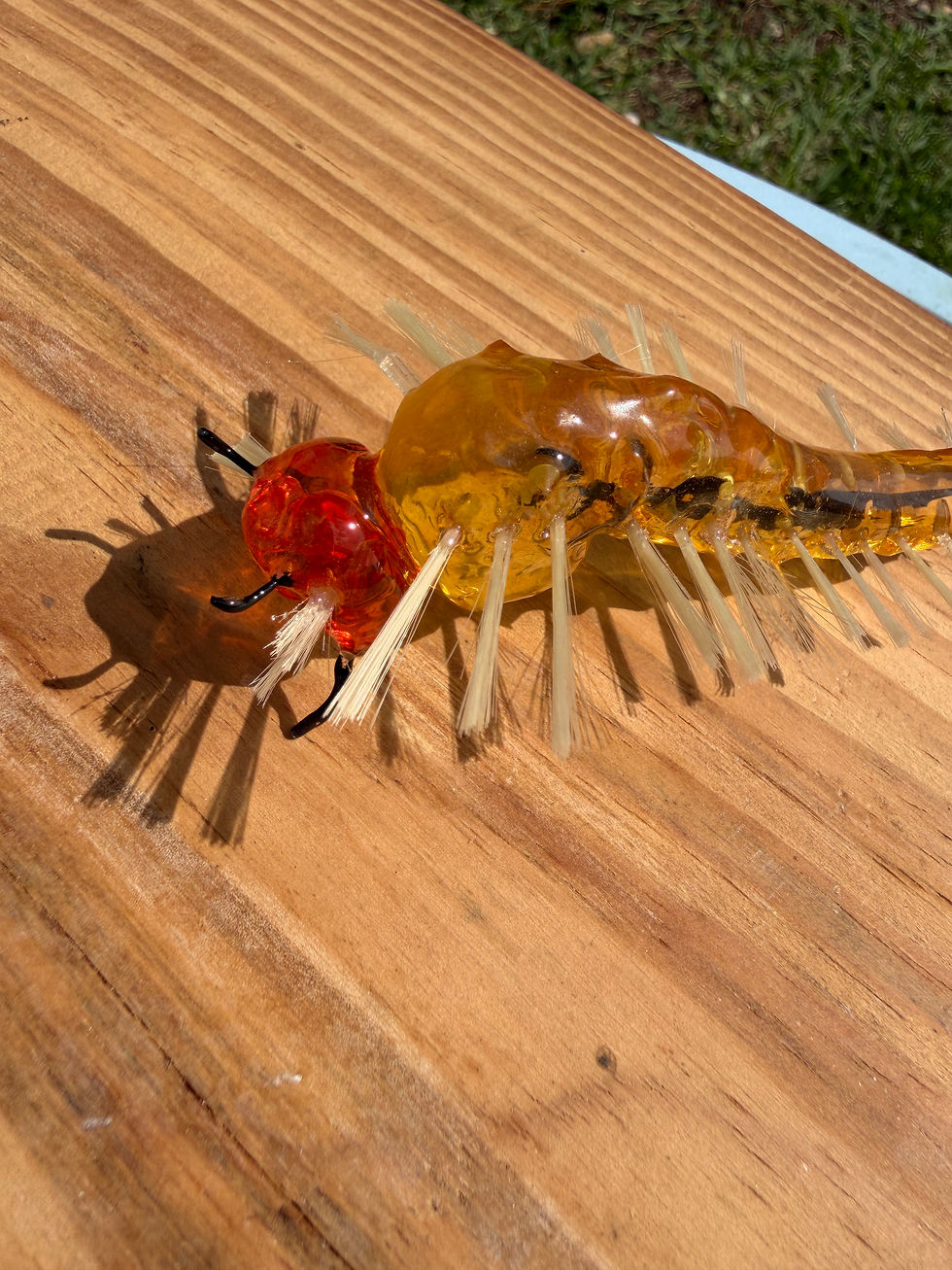Thumbnail: Anopheles Mosquito Larva