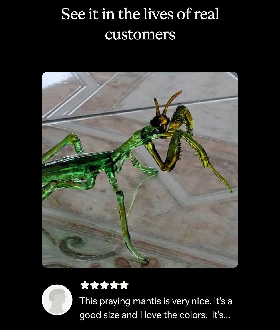 Thumbnail: Praying Mantis