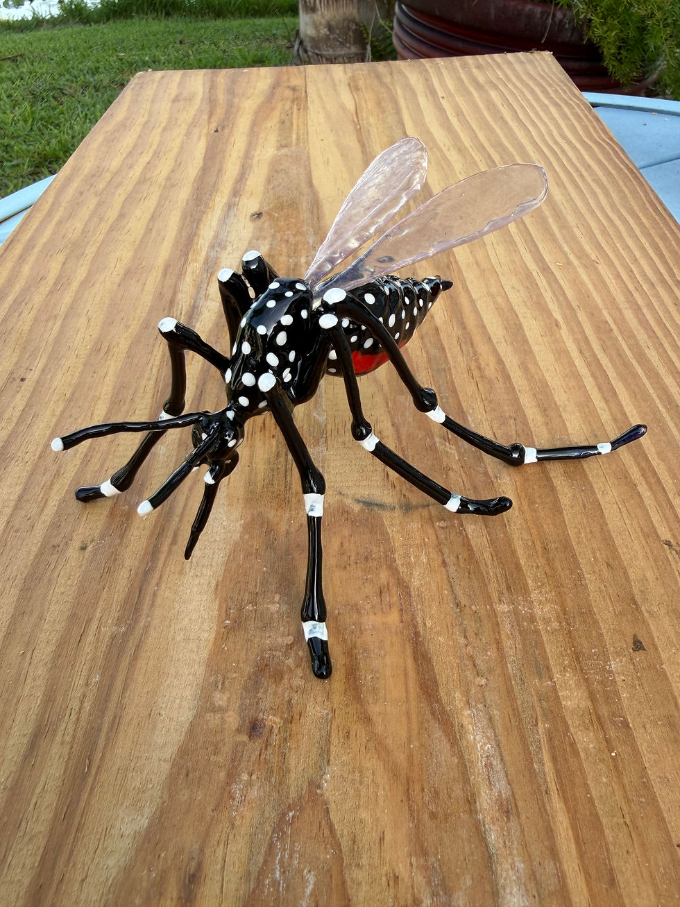 Thumbnail: Extra Large Aedes Mosquito
