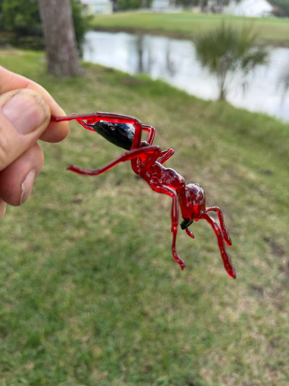 Thumbnail: Fire Ant (5 inch)