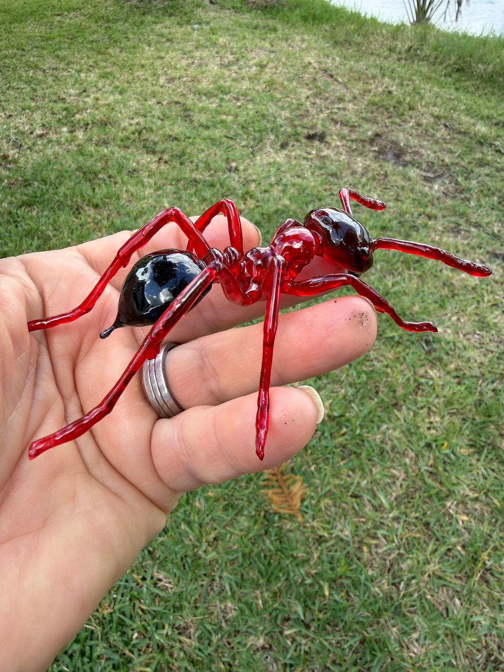 Thumbnail: Fire Ant (5 inch)