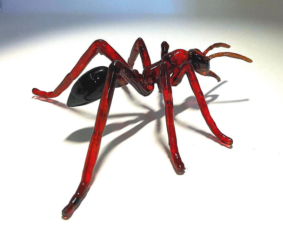 Thumbnail: Bull Dog Ant