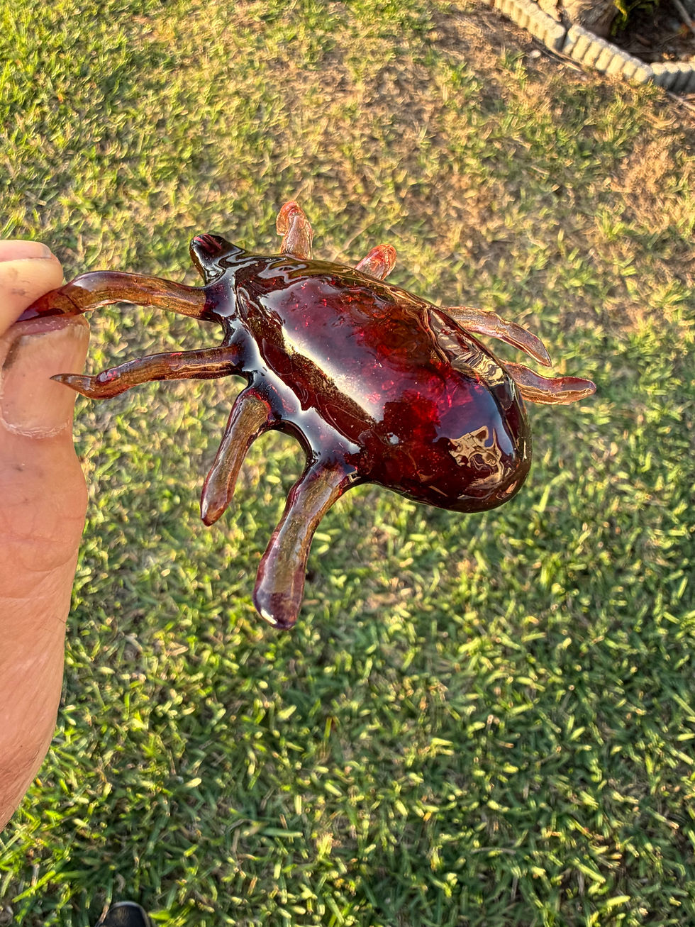 Thumbnail: Asian Blue Tick