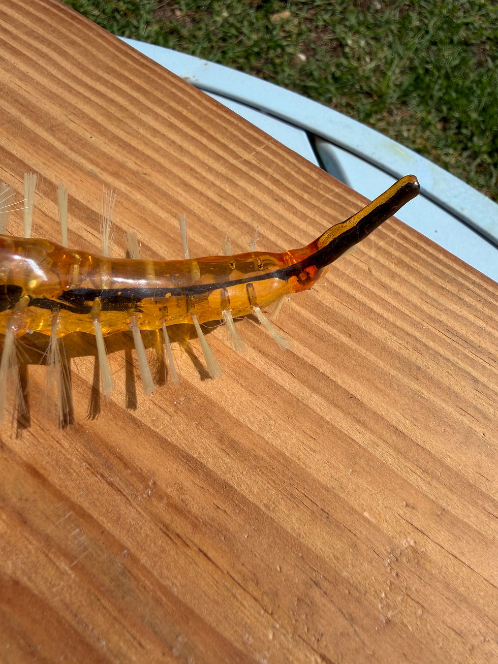 Thumbnail: Anopheles Mosquito Larva