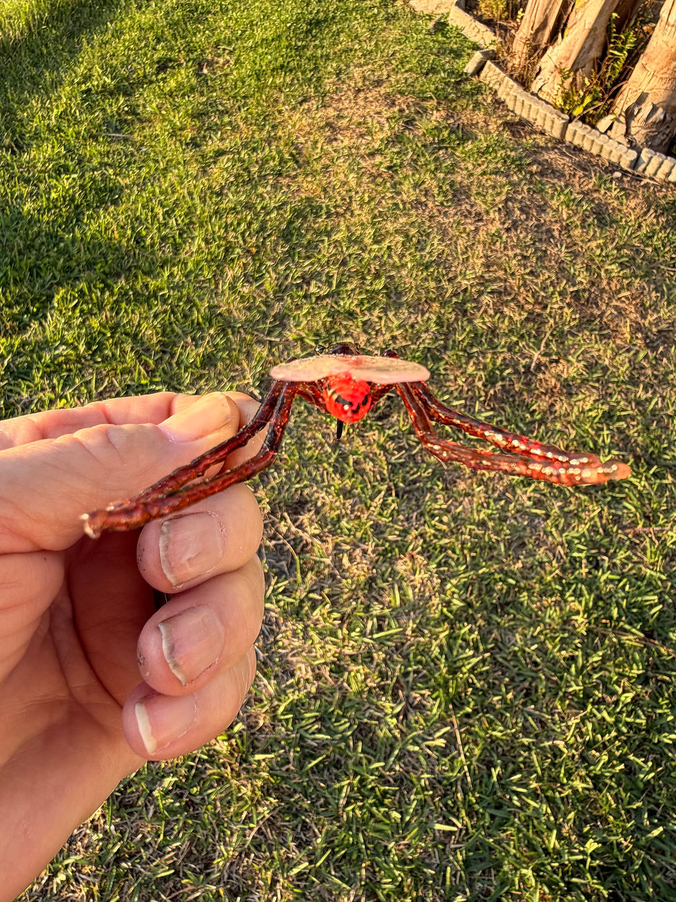 Thumbnail: Common House Mosquito 