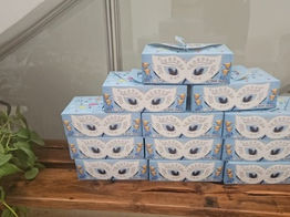 פורים – משלוחי שמחה