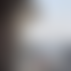 Invisible window grill dipasang pada tingkap rumah bagi keselamatan keluarga.