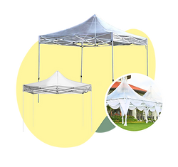 transparent canopy.png