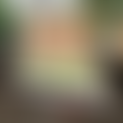 Invisible grills dipasang pada tingkap rumah moden minimalis.