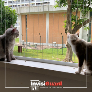 Teflon invisible grille dipasang bagi ketahanan dan keselamatan balkoni.