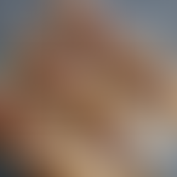 Gula Melaka brand tempatan dipamerkan di Pulau Pinang