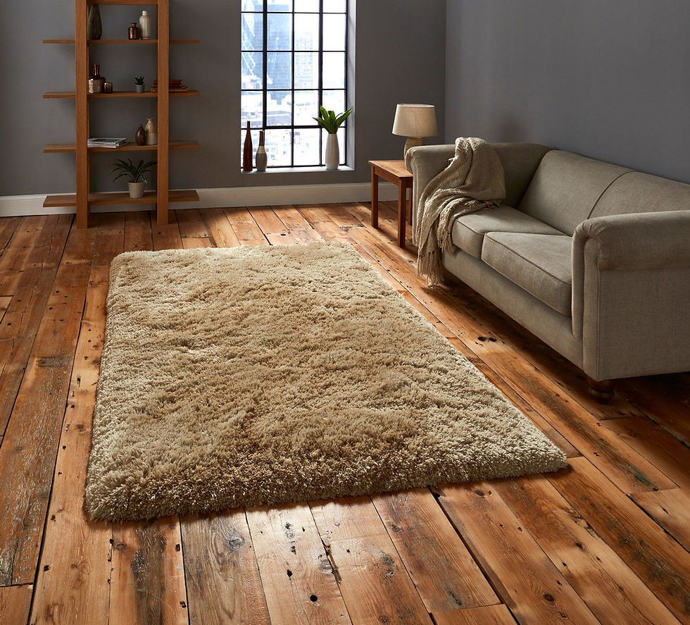 Cozy living room with gray sofa, lamp on wooden table, and beige shaggy rug on wooden floor. Bookshelf and window in the background.