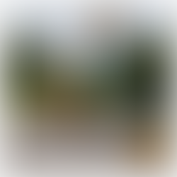 Skylift rental supporting factory maintenance work