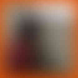 Tanglung elektrik dipasang dengan wayar tersembunyi untuk aliran Feng Shui yang rapi