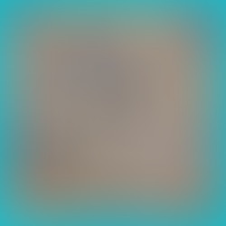 Kedai plaster ceiling near me with affordable price