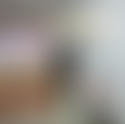 Pembersih lap tingkap selepas renovasi di Shah Alam