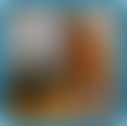 Carpet cleaning services in Melaka using a steam extractor machine