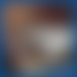 Tilam katil hospital untuk pesakit terlantar di Cheras