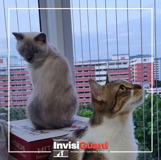 Kerja invisible grill installation sedang dijalankan pada balkoni unit kediaman.