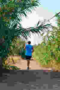 taking a stroll