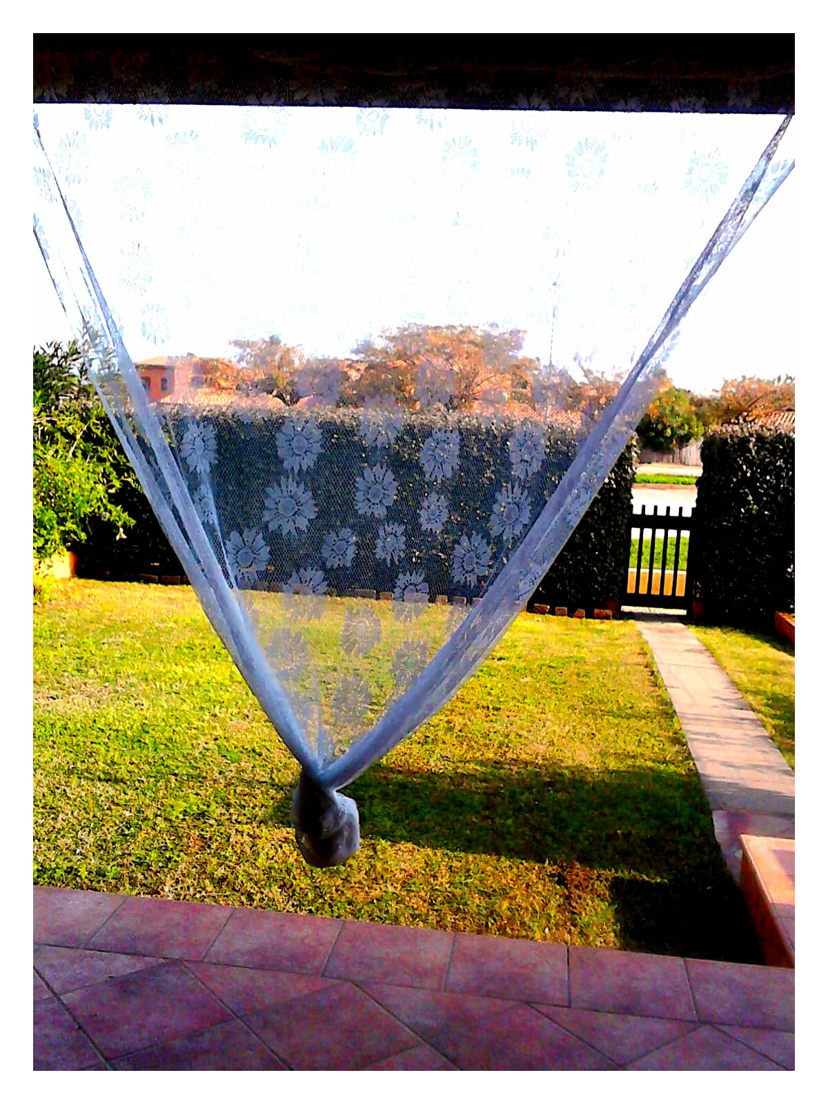 Immagine del redattore: VillaBidda