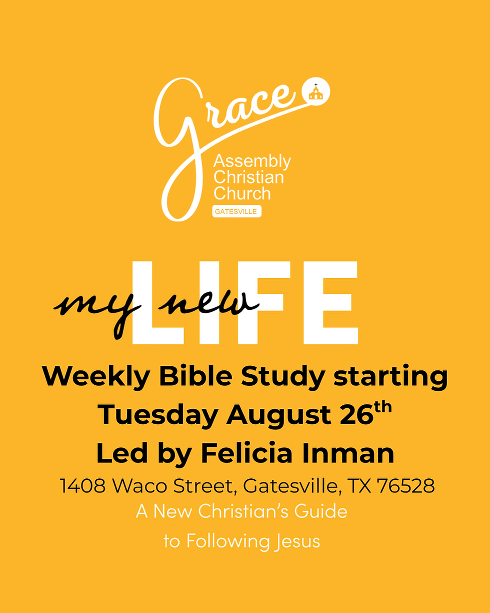 New Believers Bible Study 