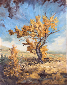 SOLD Golden Tree, LS 64