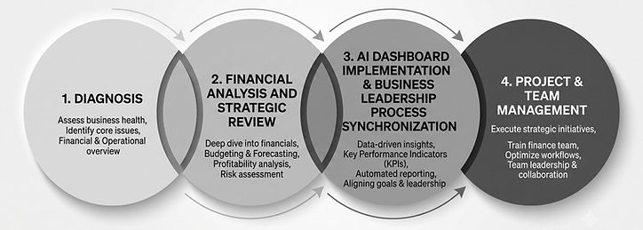 Fractional CFO Process.jpg