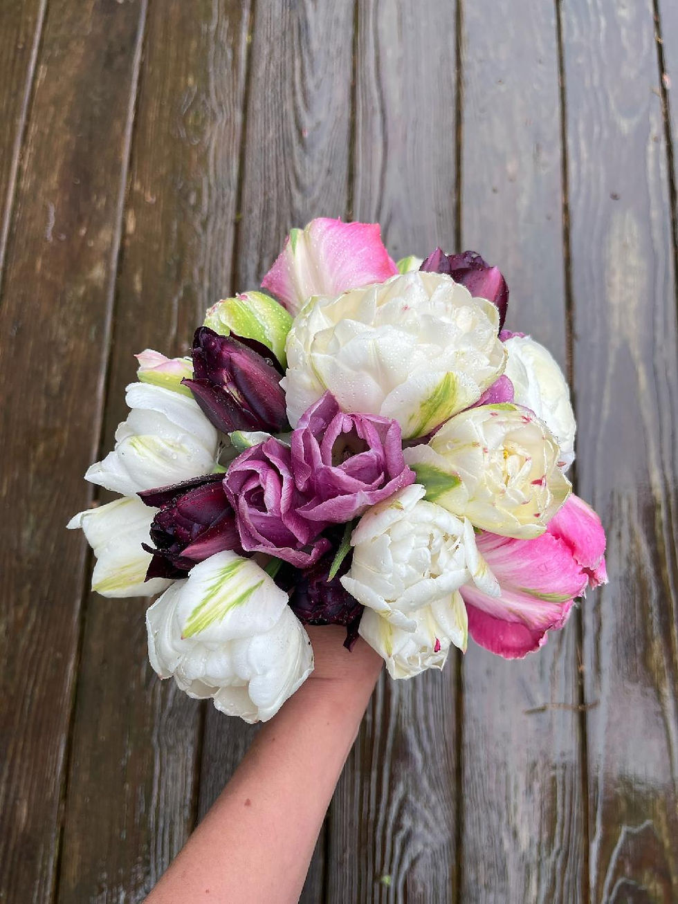 Thumbnail: Spring - 4 Week CSA