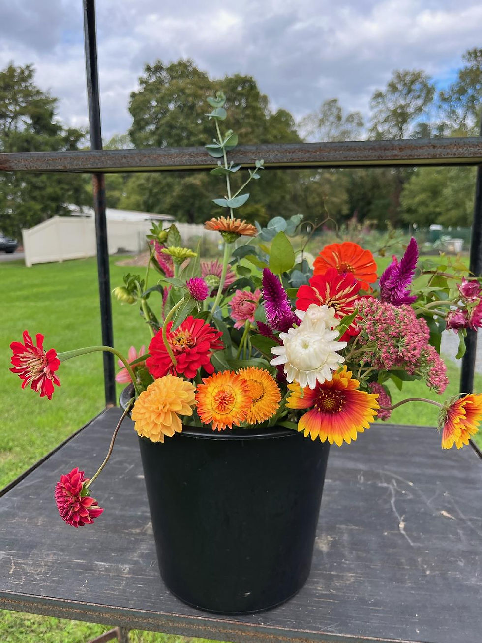 Thumbnail: Bulk Flower Buckets