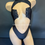 Thumbnail: Sexy Bodysuit - Invisible Lace Up Rhinestone Thong Bodysuit - Black