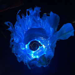 IMG_3281.jpeg