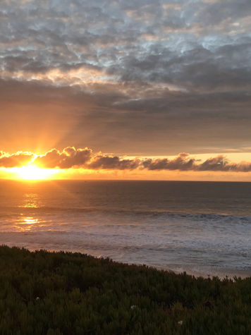 View from the Kitchen