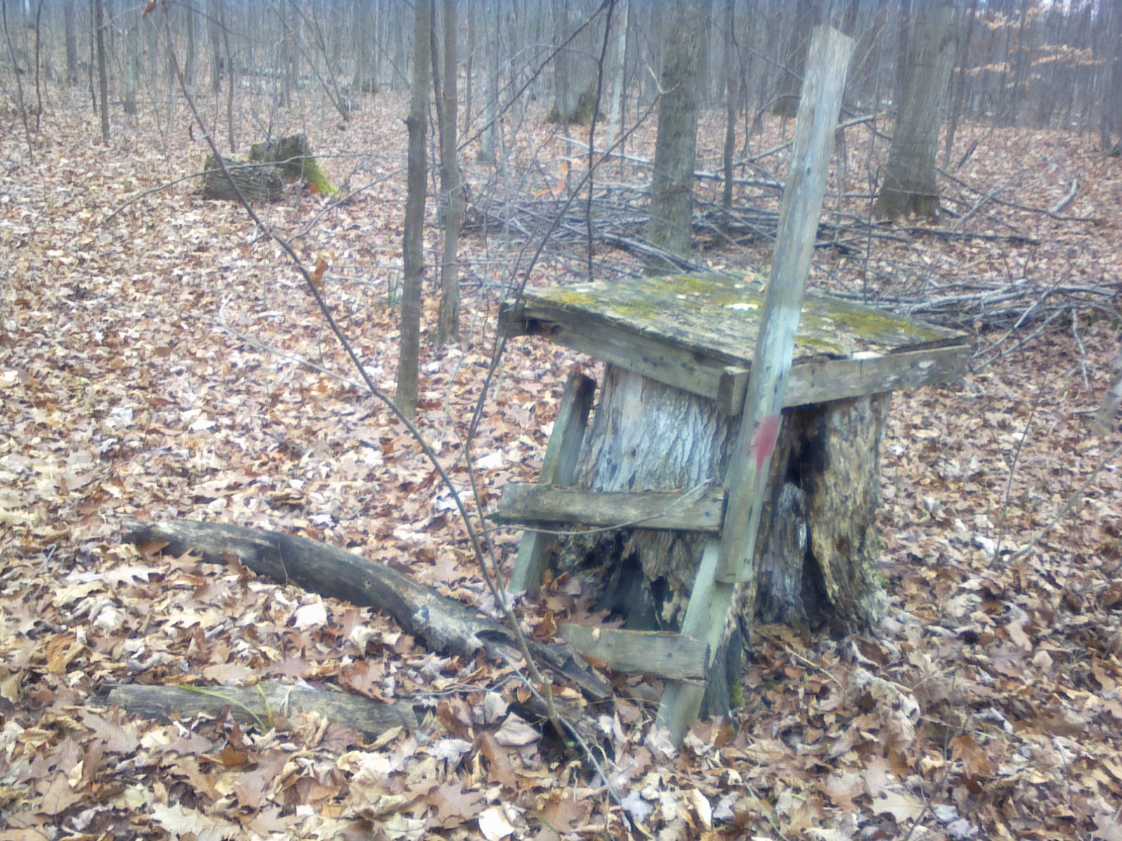 Bay Hunters and Anglers Club Inc