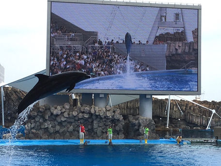名古屋港水族館　2019/8/19