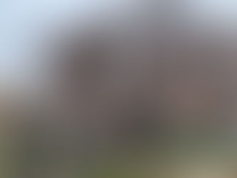 お花見🌸　2019/3/30