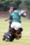 rugby.jpg