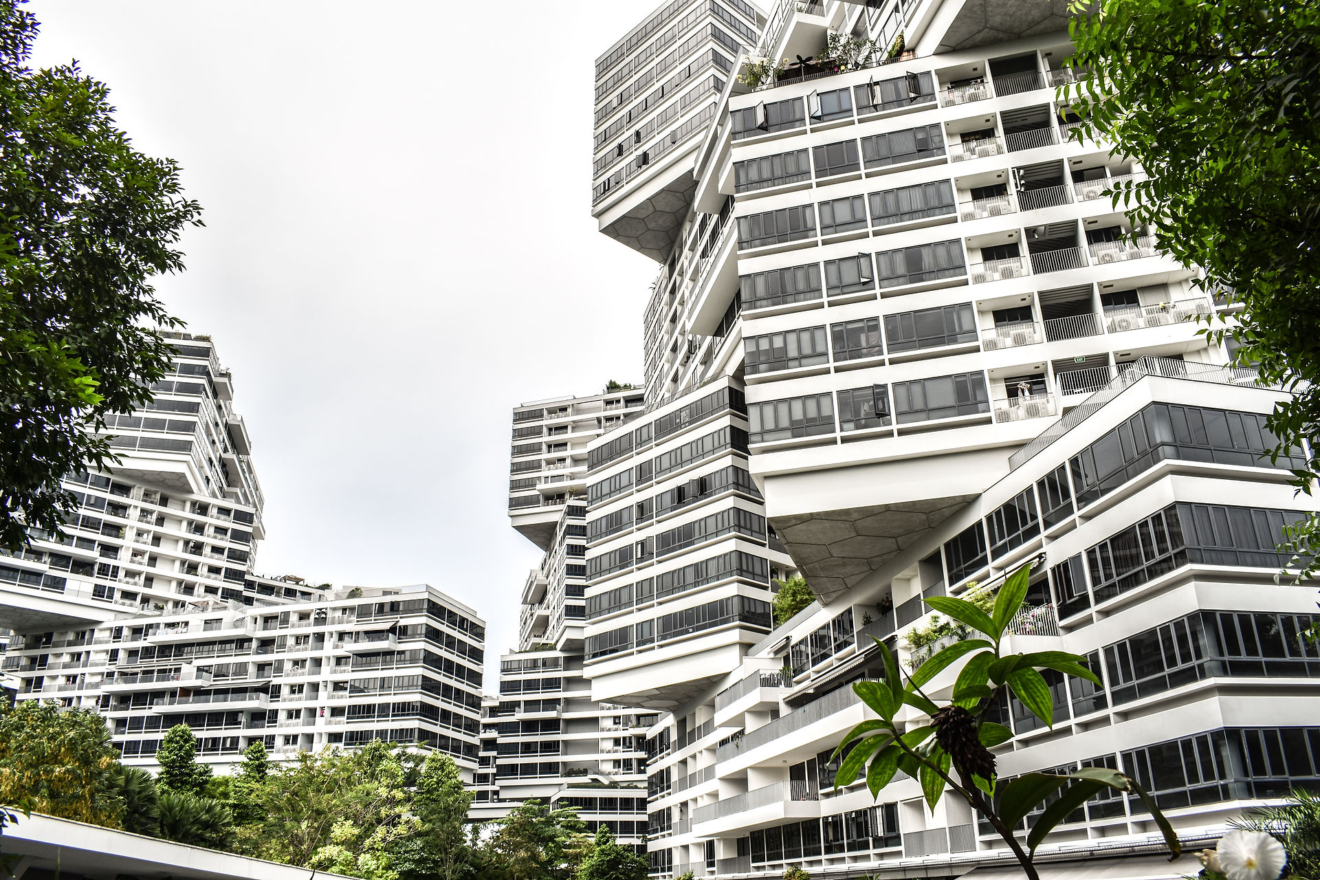 The Interlace