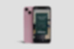 Mint_story mock up.jpg