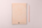 Journey to Wellness branded note book and pencil