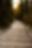 Yellowknife path
