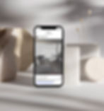 Everwell_phone.jpg