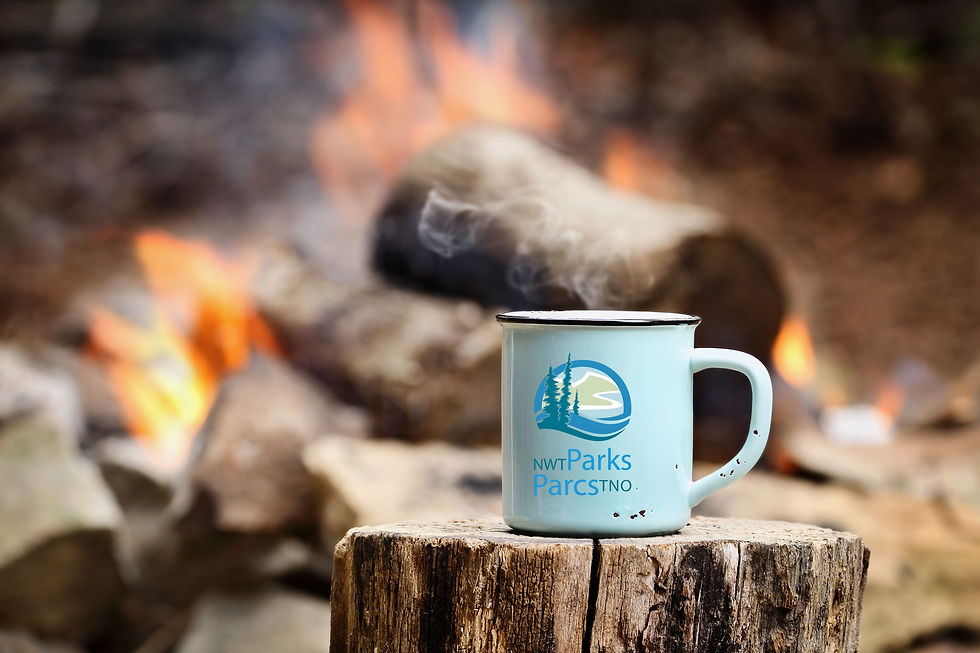 NWT Parks_mug.jpg