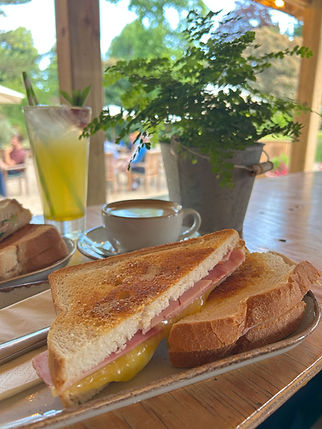 Toasted sandwich, coffee and ice cooler drink