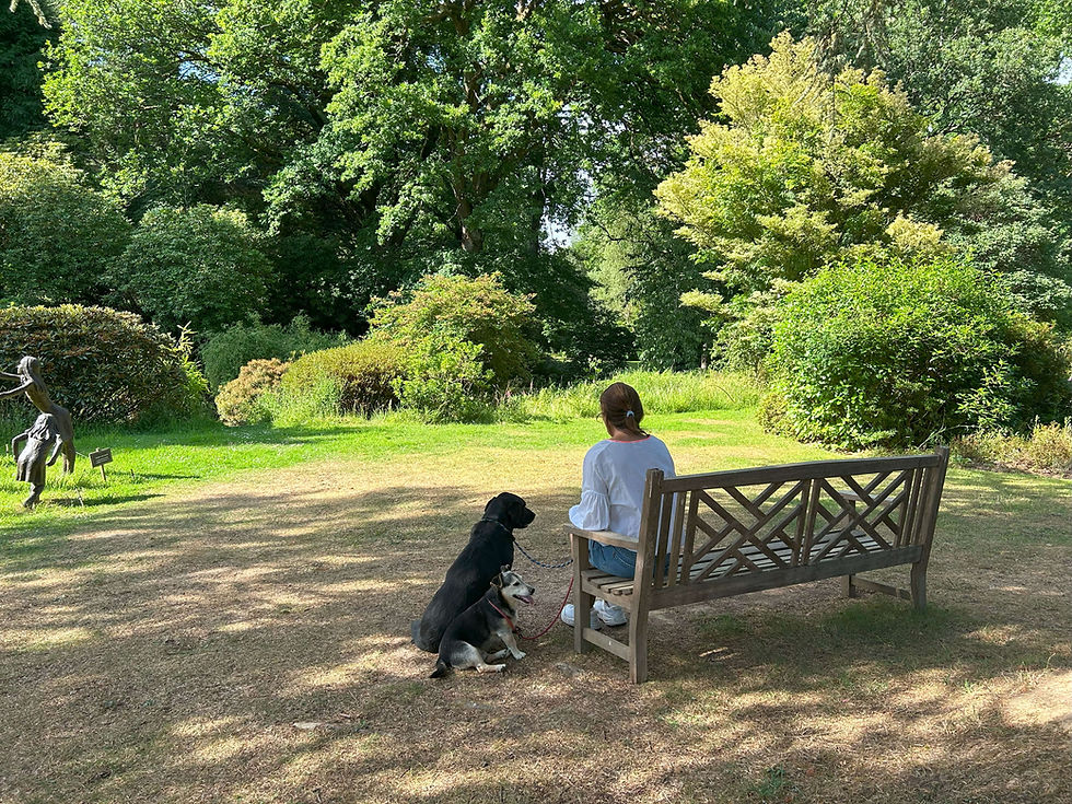 Visitor with her dogs sitting on a bench at Ramster Garden in Chiddingfold Surrey